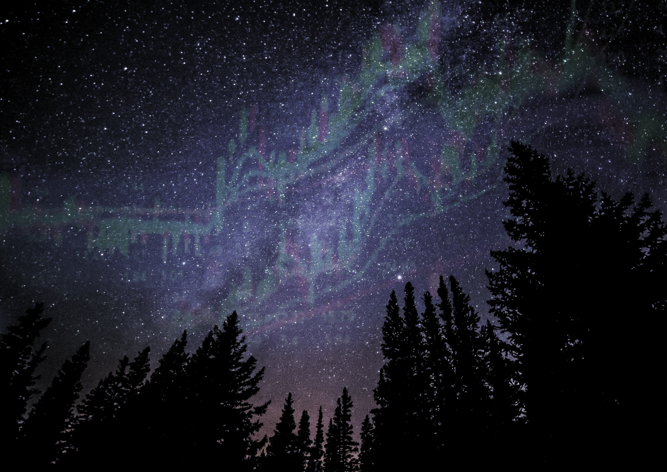 Foto eines Sternenhimmels, auf dem die Aktienkurse wie Sternschnuppen aussehen.